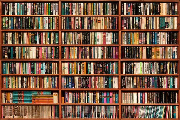 کتاب‌های شخصی یکی از مفاخر ادبی ایران به کتابخانه‌های عمومی ملایر اهدا شد