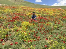 امنیت غذایی، خیریه‌ها و «نوآوری»/ انتخاب پروفسور نوروزی به‌عنوان قهرمان غذای فائو