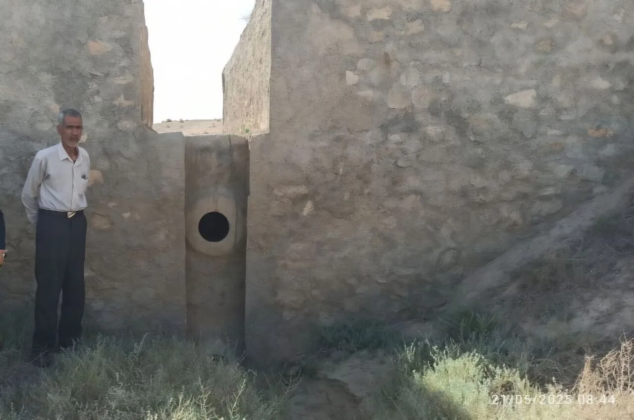 ممسنی