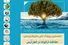 نخستین رویداد ملی حفاظت از گونۀ در خطر درخت اُرس برگزار می‌شود