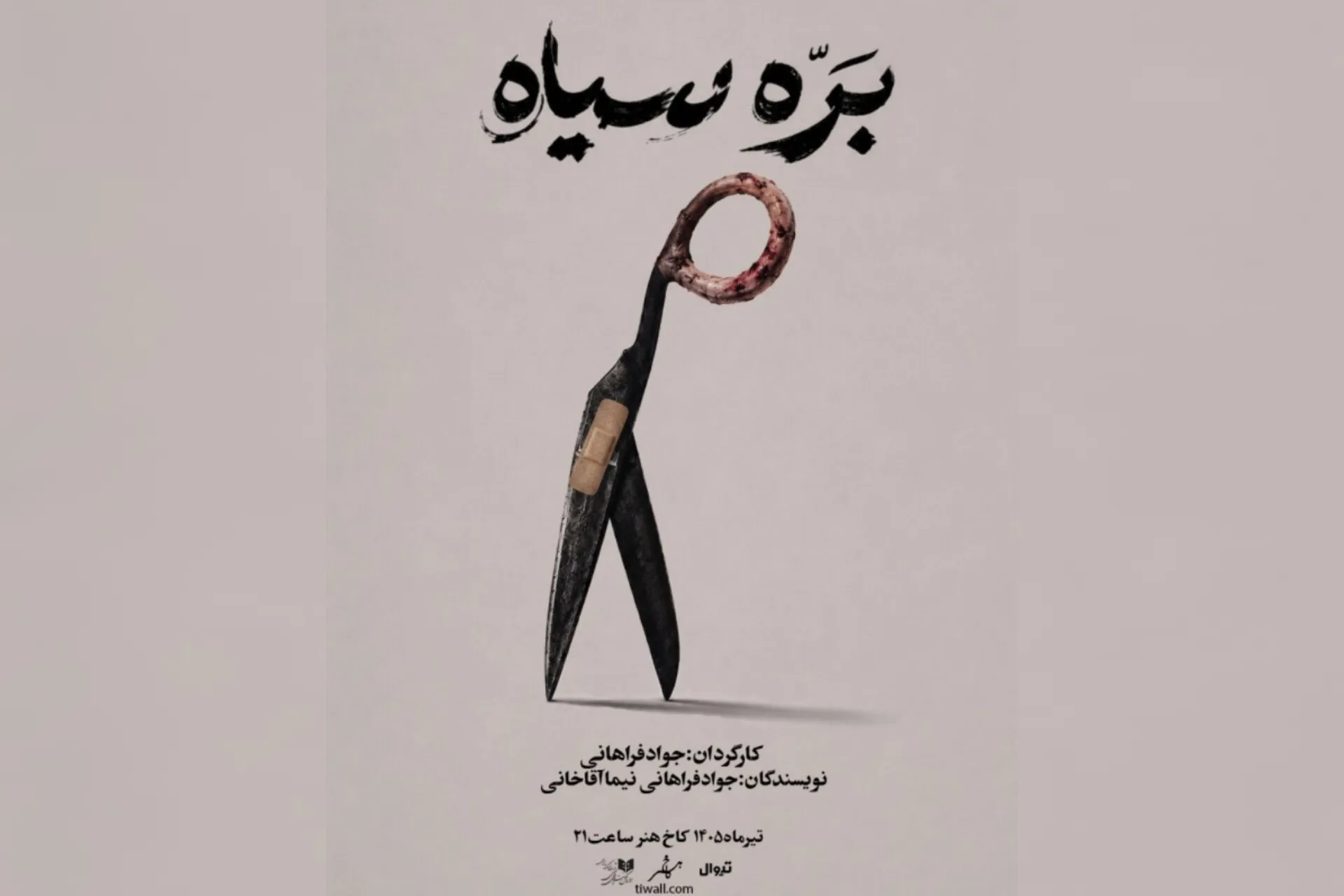 کارگردانی داوطلبانه برای تئاتر افراد دارای معلولیت