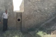 نیکوکاری برای آب؛ ابتکار کشاورز تنگستانی برای نجات باغ‌ها