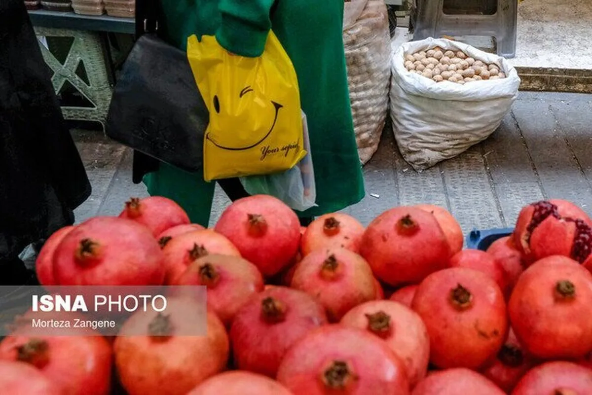 فعالیت ۱۰۰ مرکز نیکوکاری در کردستان برای پویش یلدای مهربانی