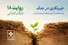اراده‌ای در میان طوفان