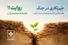 میدان‌دار؛ از دیروز تا امروز