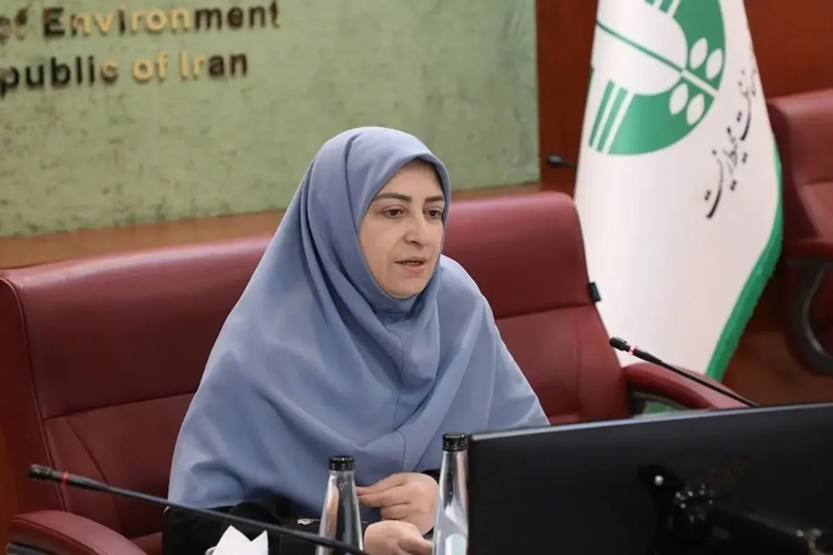 انصاری